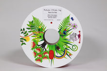 Load image into Gallery viewer, Race Car Red PLA pro, 1.75mm, 1kg (has been replaced with rPLA pro)
