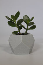 Load image into Gallery viewer, Light Marble rPLA pro, 100% Recycled, 1.75mm, 1kg