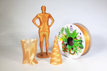 Load image into Gallery viewer, Gold PLA pro, 1.75 mm, 1 kg (has been replaced with rPLA pro)
