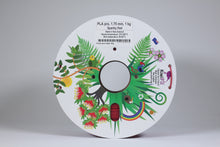 Load image into Gallery viewer, Sparkly Red PLA pro, 1.75mm, 1kg
